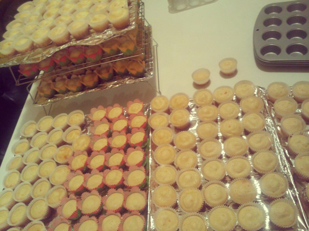 There are 225 mini cupcakes here... or 325.  Somewhere in-between that.  