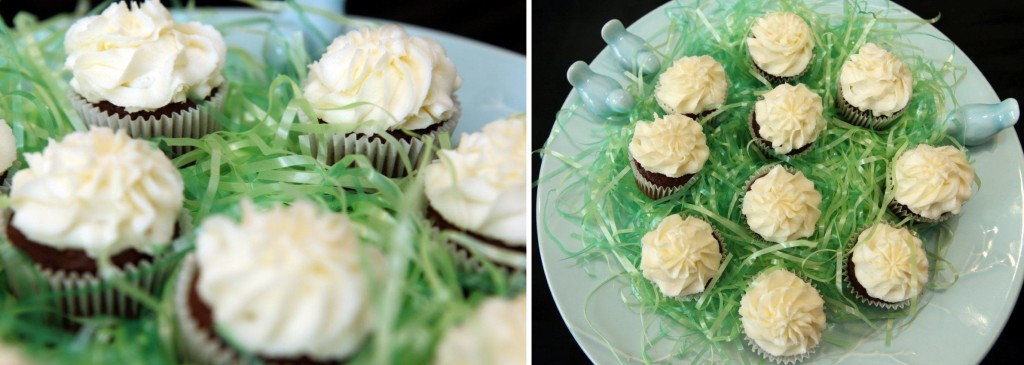 Chocolate mini cupcakes with white vanilla frosting